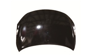 капюшон sylphy'12